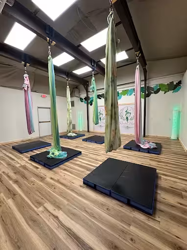 Rooted Halo Aerial Studio